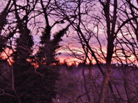 X-Winter Sunset
